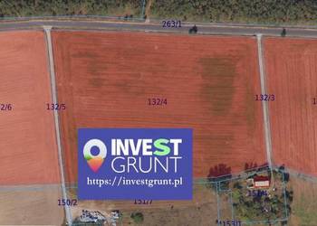 [10,24 ha] przetarg na dzierżawę gruntów rolnych