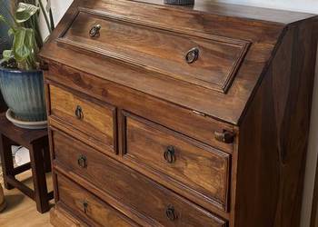 Sekretarzyk kolonialny