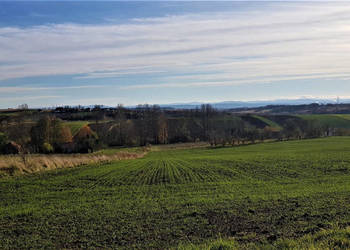 Działka na sprzedaż Michałowice 2450m2