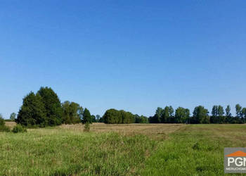 Działka 38300m2 Świerzno