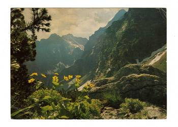 TATRY WYSOKIE ŚCIANY MIĘGUSZOWIECKICH I KAZALNICY W GŁĘBI RYSY