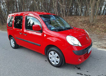 Renault Kangoo II (2007-2021)