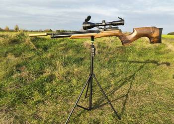 Reximex Lyra .22 + Delta Optical Entry