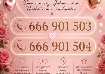 666_901_50X Złoty Numer Prosty Para Zakochani Mąż i Żona Starter T-Mobile !