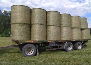 Laweta do bel SCHWARZMULLER