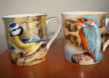 Ptaki kubek Leonardo Collection