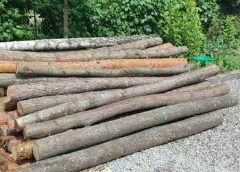 Sprzedam stemple budowlane słupki sosnowe 2.5m albo 3m