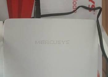 Wifi 300 mbs . Dobry na początek przygody z netem.