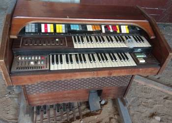 Organy Paola de luxe solton