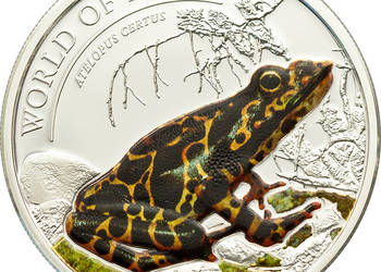 Srebrna moneta kolekcjonerska z serii „ Word Of Frogs” – Żaba Orange
