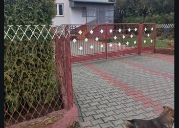 Brama 4.2 Furtka  1m  siatka 20m