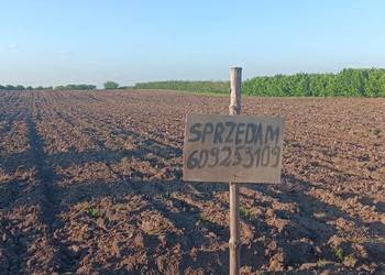 Sprzedam działkę rolną