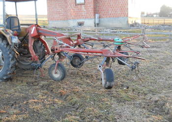 Pająk Przewrwcarka Przetrząsacz