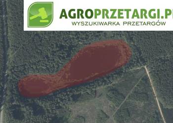 Dzierżawa 3,70 ha jeziora