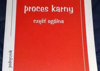 Proces Karny. Część ogólna - Romuald Kmiecik, E. Skrętowicz