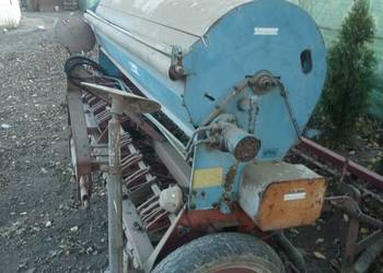 Siewnik isaria Siewnik isaria