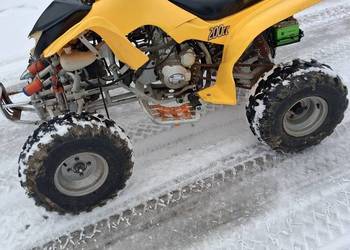 Bashan shineray 200 250 quad atv chlodzony ciecza