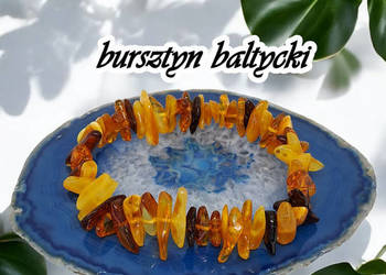 Bransoletka z bursztynu, bursztyn sieczka koniak wiśnia cytryna #325 Bransoletka z bursztynu, bursztyn sieczka koniak wiśnia cytryna #325