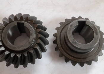 Koło stoż. małe zęby łukowe Z-21 fi 25 nr.5066010661