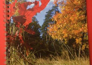 ( 539. ) Puszcze Szczecińskie 2005