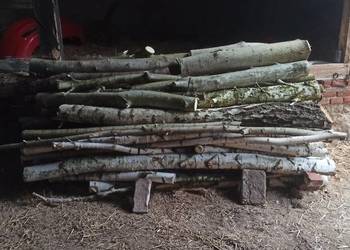 Sprzedam brzozę  3m3