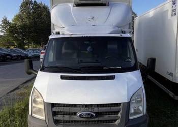 Ford transit chłodnia