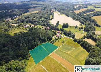Oferta sprzedaży działki 4527m2 Lalin