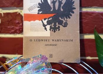 Jadwiga Chamiec – O Ludwiku Waryńskim.