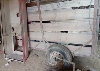 Wózek klatka dla bydła