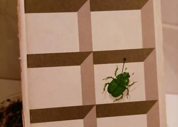 Wielka liczba Szymborska Poezje wiersze księgarnia Praga