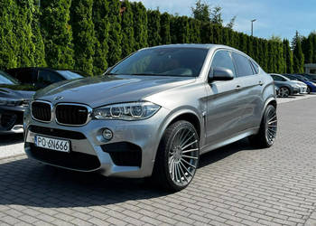 BMW X6 M50 Salon Polska Pakiet Hamman Bezwypadek Idealna F16 (2014-)
