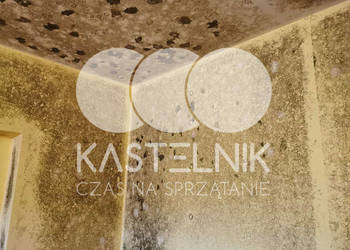 Odgrzybianie ścian Lubań - Kastelnik - Usuwanie grzybów i pleśni