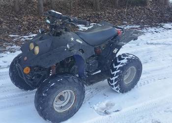 Quad Sprawny 100 Cpi Crab