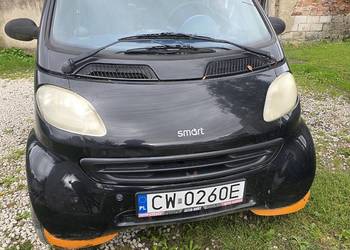 Smart tanio