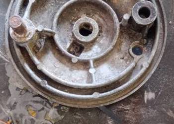 Dekle szczekotrzymacze  shl m17