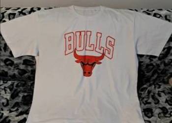 Koszulka męska BULLS