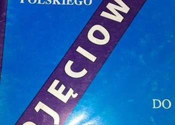 POJĘCIOWNIK 300 POJĘĆ Z POLSKIEGO - K.DROGA