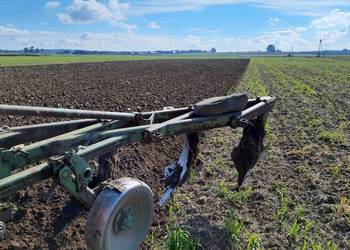 Pług 4-skibowy zagonowy Unia Grudziądz U036/2, lemiesze z dłutem Waryński
