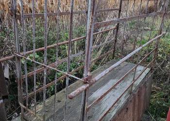 Klatka do wagi ważenia cieląt