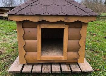 Buda, domek dla psa.