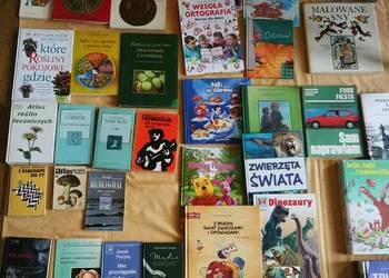 Zestaw książek – Różne tytuły