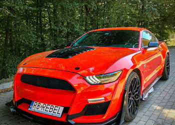 2016 Ford mustang 5.0 v8 california special (manual) | pakiet gt500 | doinw