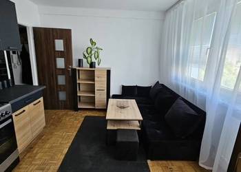 2 pokoje z aneksem kuchennym przyjazne zwierzętom