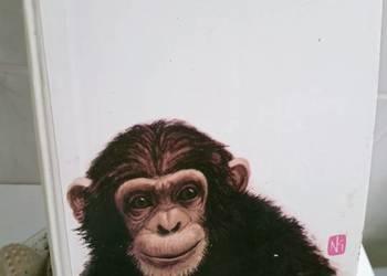 To i owo o zwierzętach książki Warszawa księgarnia Praga To i owo o zwierzętach książki Warszawa księgarnia Praga