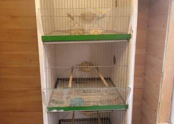 Klatki, regały dla Kanarków