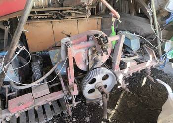 Siewnik  do kukurydzy hassia 4 rzędy