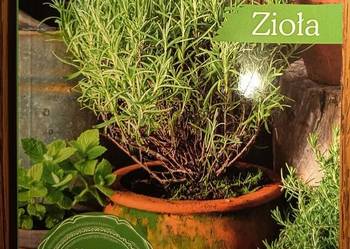 Nowa Zioła Smaki z mojego ogrodu