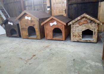 Buda dla psa 576921028