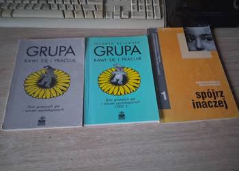 Zestaw książek psychologicznych / pedagogicznych: Grupa bawi się i pracuje