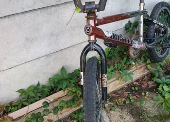 Rower bmx rooster